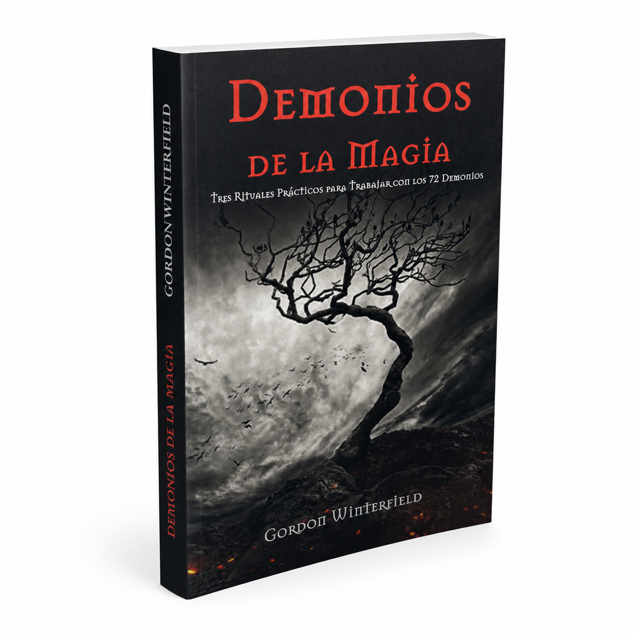 Demonios de la Magia – Gordon Winterfield